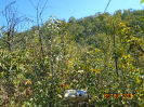BA_488_F3_pan