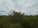 BA_496_F3_pan
