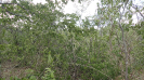 BA_497_F3_pan