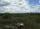 BA_498_F3_pan