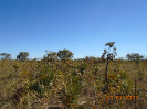 BA_536_F3_pan