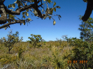 BA_536_F5_3