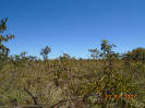 BA_536_F5_4