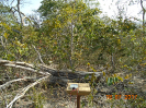 BA_539_F3_pan