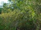 BA_577_0_639