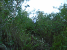 BA_577_1_649