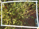 BA_577_2_640a