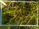 BA_577_2_643d