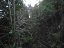 BA_577_4_654