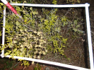 BA_577_4_658d