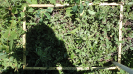 BA_594_F9_4_10