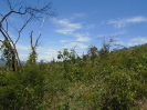 BA_596_F3_pan