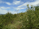 BA_596_F5_1