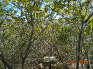 BA_635_F3_pan