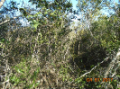 BA_635_F5_3