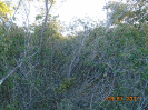 BA_635_F5_4