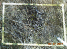 BA_636_F9_1_1