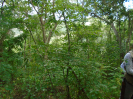BA_670F_0_211