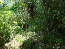 BA_670F_2_217