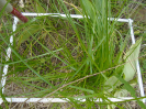 BA_670F_2_218a