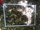 BA_670F_2_219c