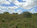 BA_672_4_44