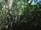 BA_675_0_521