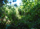BA_677_3_510