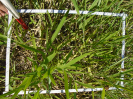 BA_677_3_512b