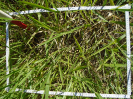 BA_677_3_514d