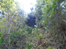 BA_677_4_515