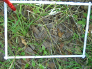 BA_677_4_516a
