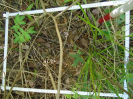 BA_677_4_517b