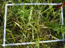 BA_677_4_518c