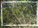 BA_677_4_519d