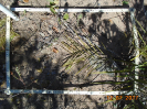 BA_682_F9_2_10