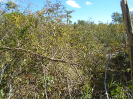 BA_687_F3_pan