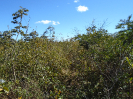 BA_687_F5_1