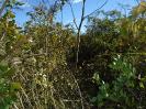 BA_687_F5_4
