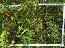 BA_718_1_327d