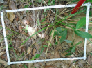 BA_722_1_06c
