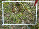 BA_722_2_10a