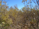 BA_736_F3_pan