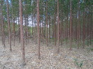 BA_770E_0_29