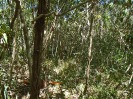 BA_770E_3_41