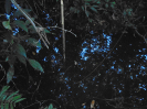 BA_770G_3_31c