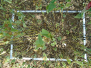BA_810_4_251b