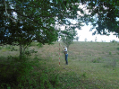 BA_811_3_104