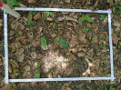 BA_811_3_105a