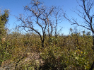 BA_825_F3_pan